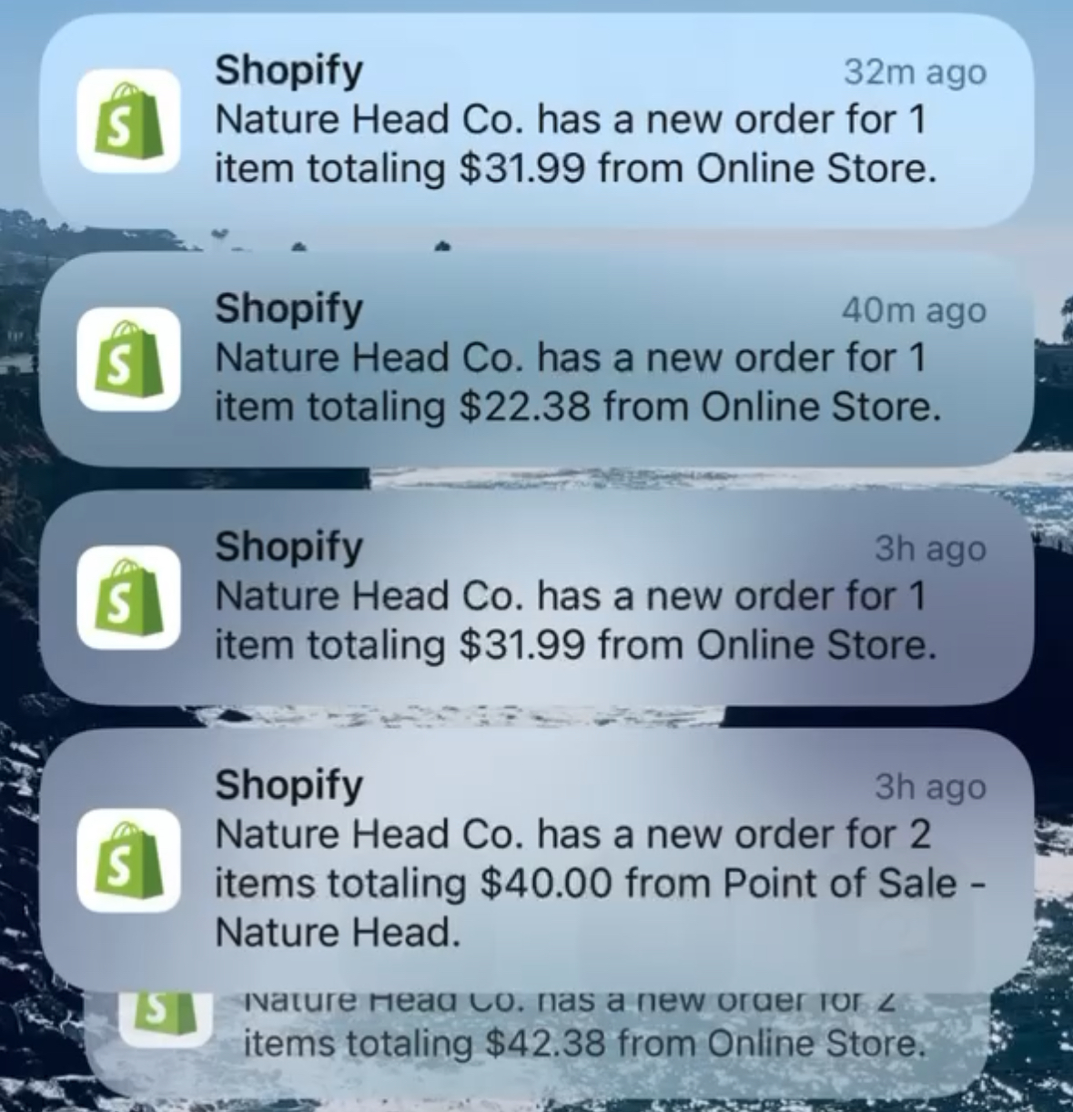 Shopify notifications